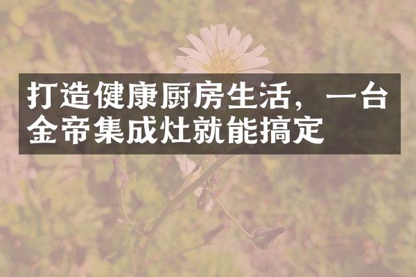 打造健康厨房生活，一台金帝集成灶就能搞定