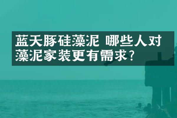 蓝天豚硅藻泥 哪些人对硅藻泥家装更有需求？