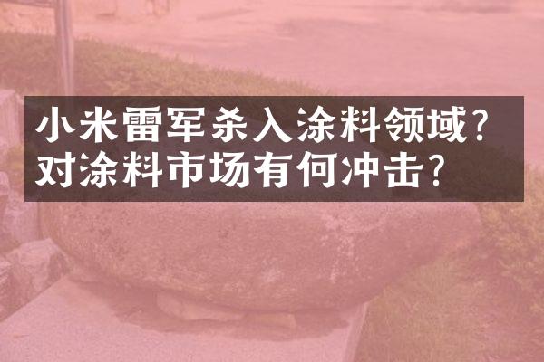 小米雷军杀入涂料领域?对涂料市场有何冲击?