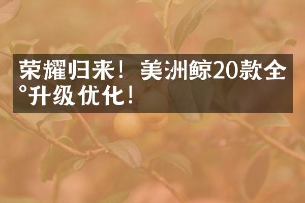 荣耀归来!美洲鲸20款全新升级优化!