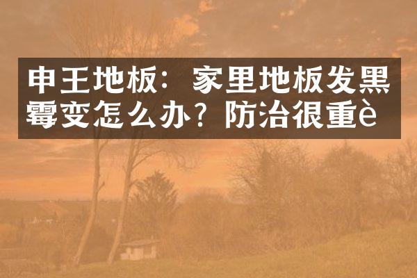 申王地板:家里地板发黑霉变怎么办?防治很重要